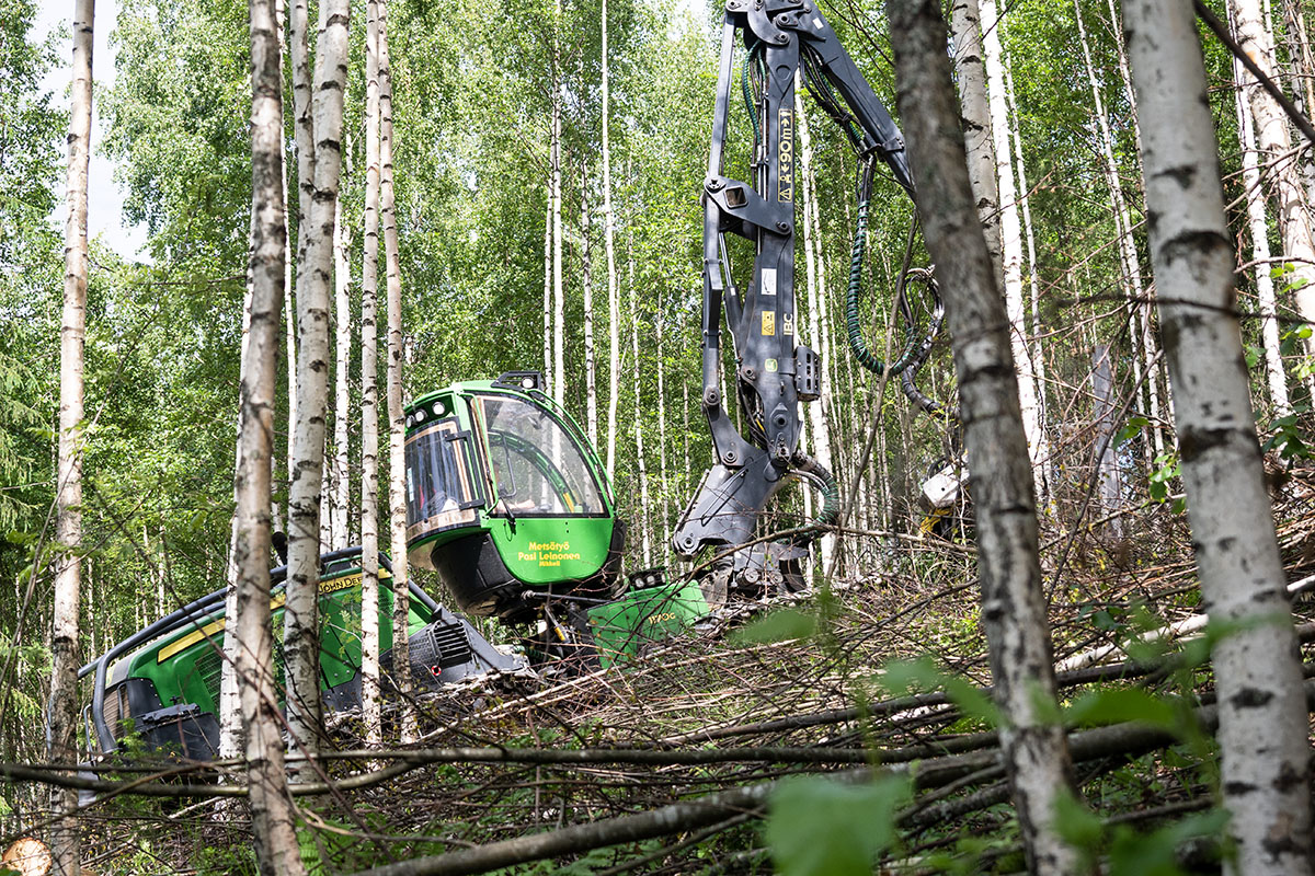 Kasiforest Oy
